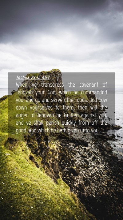 Picture 04 - Joshua 23:16 ASV Mobile Phone Wallpaper - When ye transgress the covenant of Jehovah your - Mobile Bible Verse Wallpaper