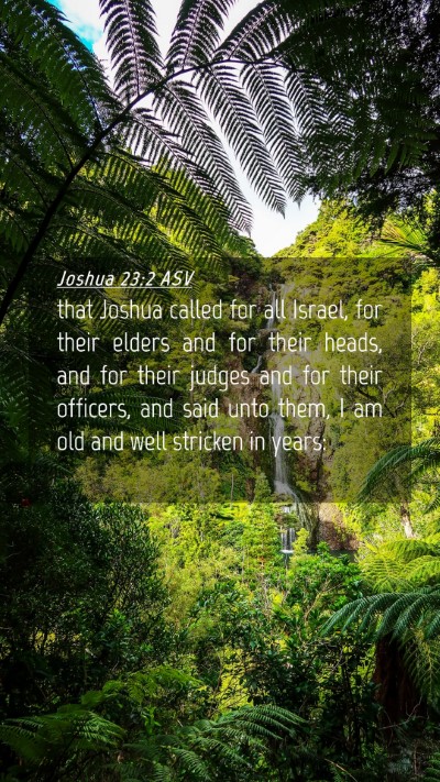 Picture 04 - Joshua 23:2 ASV Mobile Phone Wallpaper - that Joshua called for all Israel, for their - Mobile Bible Verse Wallpaper