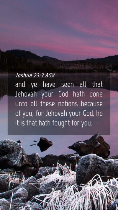 Picture 04 - Joshua 23:3 ASV Mobile Phone Wallpaper - and ye have seen all that Jehovah your God hath - Mobile Bible Verse Wallpaper