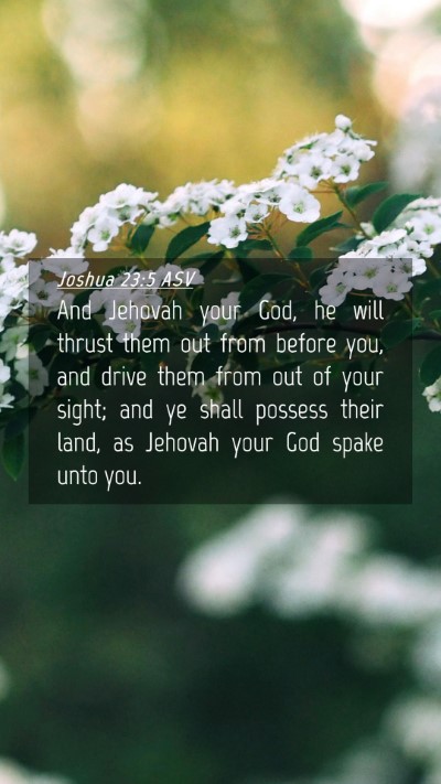 Picture 04 - Joshua 23:5 ASV Mobile Phone Wallpaper - And Jehovah your God, he will thrust them out - Mobile Bible Verse Wallpaper