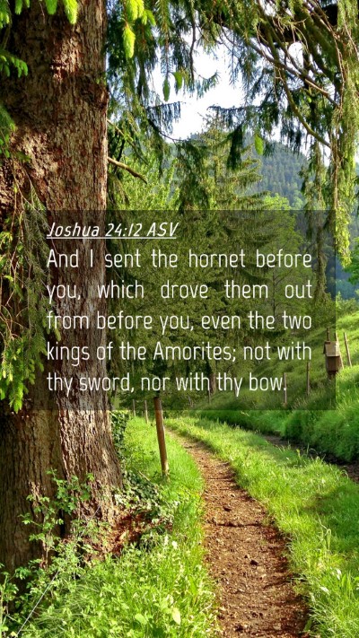 Picture 04 - Joshua 24:12 ASV Mobile Phone Wallpaper - And I sent the hornet before you, which drove - Mobile Bible Verse Wallpaper