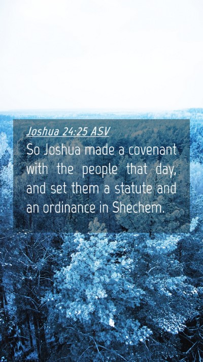 Picture 04 - Joshua 24:25 ASV Mobile Phone Wallpaper - So Joshua made a covenant with the people that - Mobile Bible Verse Wallpaper