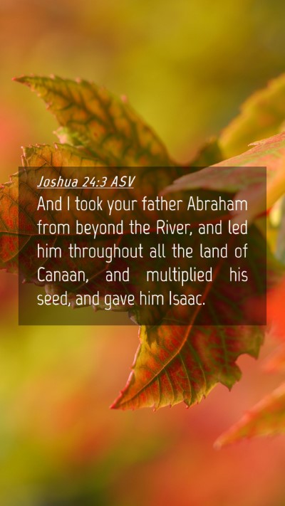 Picture 04 - Joshua 24:3 ASV Mobile Phone Wallpaper - And I took your father Abraham from beyond the - Mobile Bible Verse Wallpaper