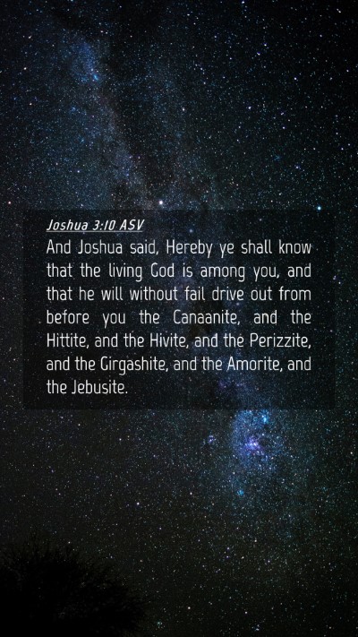 Picture 04 - Joshua 3:10 ASV Mobile Phone Wallpaper - And Joshua said, Hereby ye shall know that the - Mobile Bible Verse Wallpaper