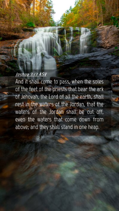 Picture 04 - Joshua 3:13 ASV Mobile Phone Wallpaper - And it shall come to pass, when the soles of the - Mobile Bible Verse Wallpaper