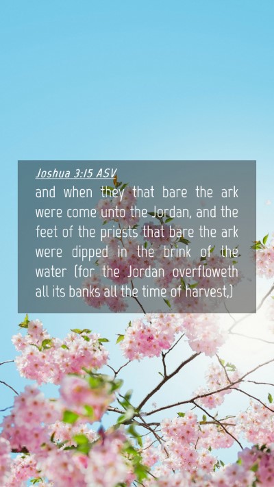 Picture 04 - Joshua 3:15 ASV Mobile Phone Wallpaper - and when they that bare the ark were come unto - Mobile Bible Verse Wallpaper