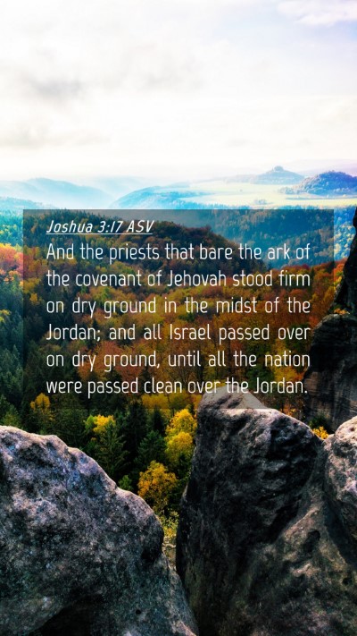 Picture 04 - Joshua 3:17 ASV Mobile Phone Wallpaper - And the priests that bare the ark of the covenant - Mobile Bible Verse Wallpaper