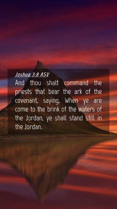 Picture 04 - Joshua 3:8 ASV Mobile Phone Wallpaper - And thou shalt command the priests that bear the - Mobile Bible Verse Wallpaper
