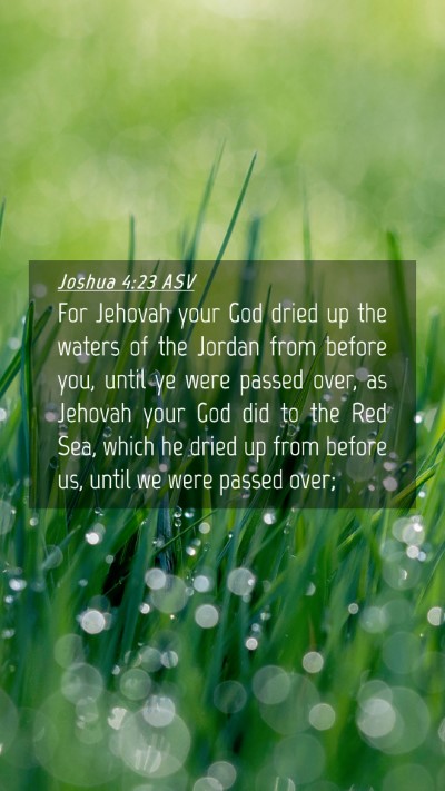 Picture 04 - Joshua 4:23 ASV Mobile Phone Wallpaper - For Jehovah your God dried up the waters of the - Mobile Bible Verse Wallpaper