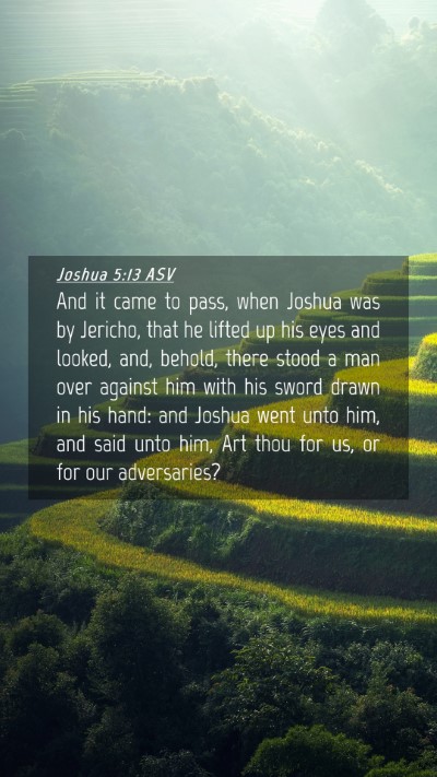 Picture 04 - Joshua 5:13 ASV Mobile Phone Wallpaper - And it came to pass, when Joshua was by Jericho, - Mobile Bible Verse Wallpaper