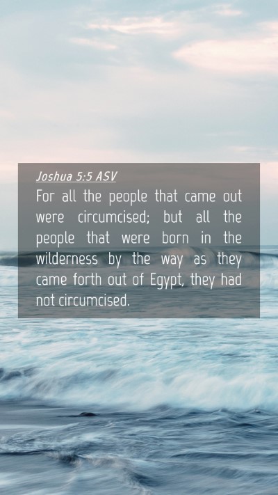 Picture 04 - Joshua 5:5 ASV Mobile Phone Wallpaper - For all the people that came out were - Mobile Bible Verse Wallpaper