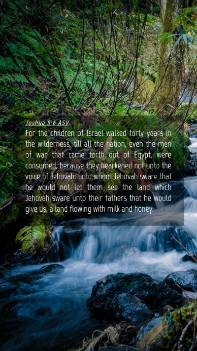 Picture 04 - Joshua 5:6 ASV Mobile Phone Wallpaper - For the children of Israel walked forty years in - Mobile Bible Verse Wallpaper