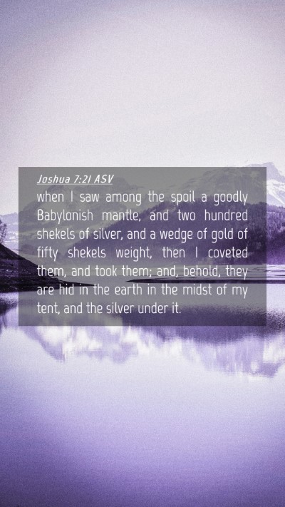 Picture 04 - Joshua 7:21 ASV Mobile Phone Wallpaper - when I saw among the spoil a goodly Babylonish - Mobile Bible Verse Wallpaper