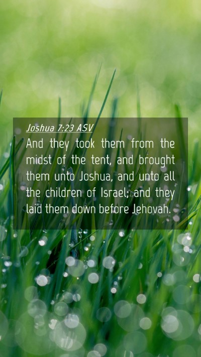 Picture 04 - Joshua 7:23 ASV Mobile Phone Wallpaper - And they took them from the midst of the tent, - Mobile Bible Verse Wallpaper