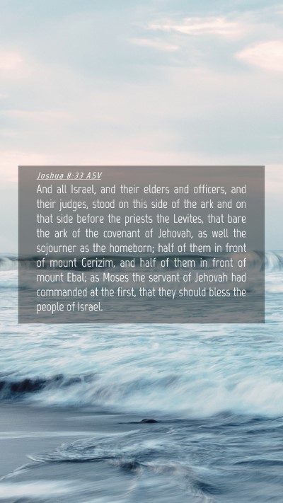 Picture 04 - Joshua 8:33 ASV Mobile Phone Wallpaper - And all Israel, and their elders and officers, - Mobile Bible Verse Wallpaper