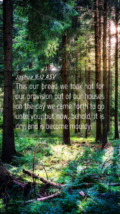 Picture 04 - Joshua 9:12 ASV Mobile Phone Wallpaper - This our bread we took hot for our provision out - Mobile Bible Verse Wallpaper