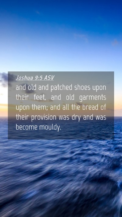 Picture 04 - Joshua 9:5 ASV Mobile Phone Wallpaper - and old and patched shoes upon their feet, and - Mobile Bible Verse Wallpaper