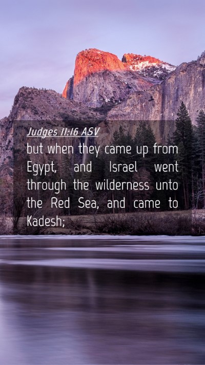 Picture 04 - Judges 11:16 ASV Mobile Phone Wallpaper - but when they came up from Egypt, and Israel went - Mobile Bible Verse Wallpaper