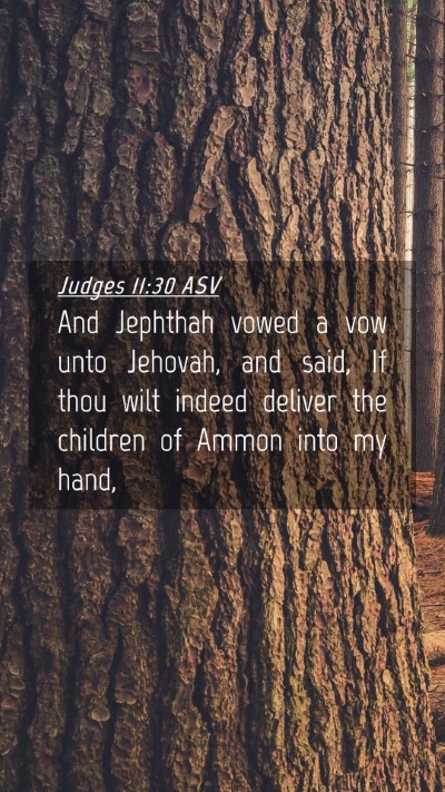 Picture 04 - Judges 11:30 ASV Mobile Phone Wallpaper - And Jephthah vowed a vow unto Jehovah, and said, - Mobile Bible Verse Wallpaper