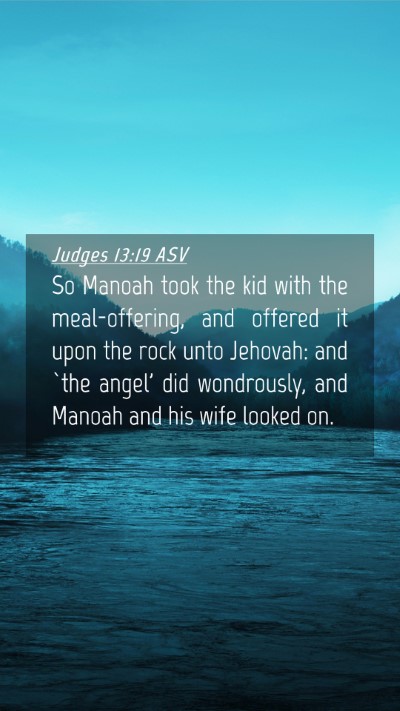 Picture 04 - Judges 13:19 ASV Mobile Phone Wallpaper - So Manoah took the kid with the meal-offering, - Mobile Bible Verse Wallpaper