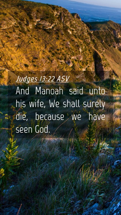 Picture 04 - Judges 13:22 ASV Mobile Phone Wallpaper - And Manoah said unto his wife, We shall surely - Mobile Bible Verse Wallpaper