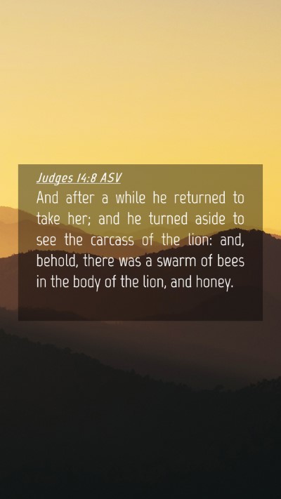 Picture 04 - Judges 14:8 ASV Mobile Phone Wallpaper - And after a while he returned to take her; and he - Mobile Bible Verse Wallpaper