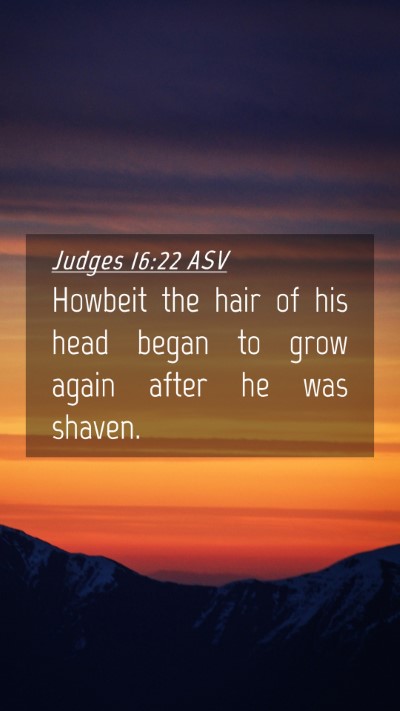 Picture 04 - Judges 16:22 ASV Mobile Phone Wallpaper - Howbeit the hair of his head began to grow again - Mobile Bible Verse Wallpaper
