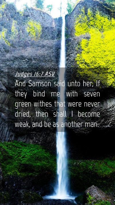Picture 04 - Judges 16:7 ASV Mobile Phone Wallpaper - And Samson said unto her, If they bind me with - Mobile Bible Verse Wallpaper