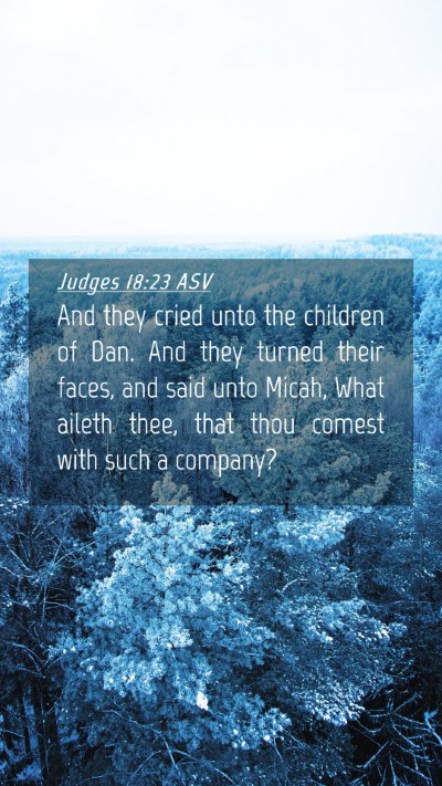 Picture 04 - Judges 18:23 ASV Mobile Phone Wallpaper - And they cried unto the children of Dan. And they - Mobile Bible Verse Wallpaper
