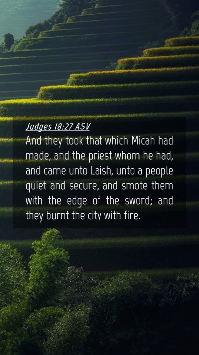 Picture 04 - Judges 18:27 ASV Mobile Phone Wallpaper - And they took that which Micah had made, and the - Mobile Bible Verse Wallpaper