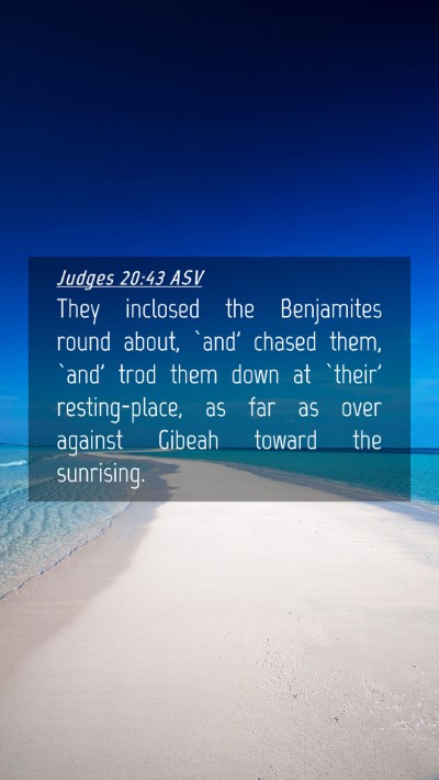 Picture 04 - Judges 20:43 ASV Mobile Phone Wallpaper - They inclosed the Benjamites round about, `and' - Mobile Bible Verse Wallpaper