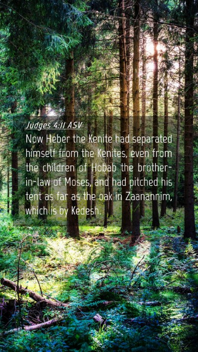 Picture 04 - Judges 4:11 ASV Mobile Phone Wallpaper - Now Heber the Kenite had separated himself from - Mobile Bible Verse Wallpaper