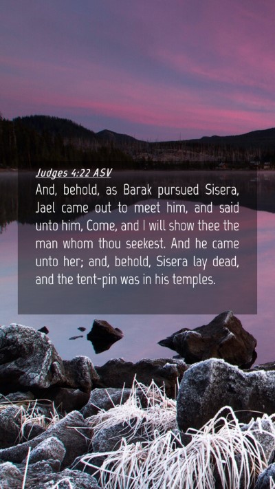 Picture 04 - Judges 4:22 ASV Mobile Phone Wallpaper - And, behold, as Barak pursued Sisera, Jael came - Mobile Bible Verse Wallpaper