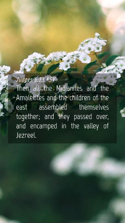 Picture 04 - Judges 6:33 ASV Mobile Phone Wallpaper - Then all the Midianites and the Amalekites and - Mobile Bible Verse Wallpaper