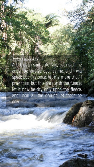 Picture 04 - Judges 6:39 ASV Mobile Phone Wallpaper - And Gideon said unto God, Let not thine anger be - Mobile Bible Verse Wallpaper