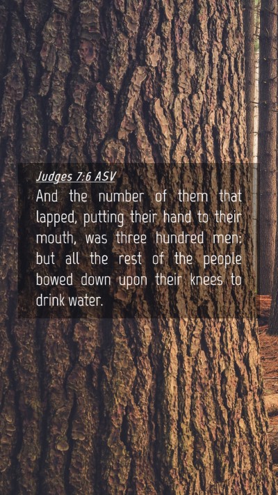 Picture 04 - Judges 7:6 ASV Mobile Phone Wallpaper - And the number of them that lapped, putting their - Mobile Bible Verse Wallpaper