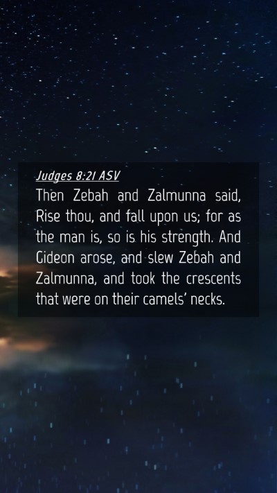 Picture 04 - Judges 8:21 ASV Mobile Phone Wallpaper - Then Zebah and Zalmunna said, Rise thou, and fall - Mobile Bible Verse Wallpaper