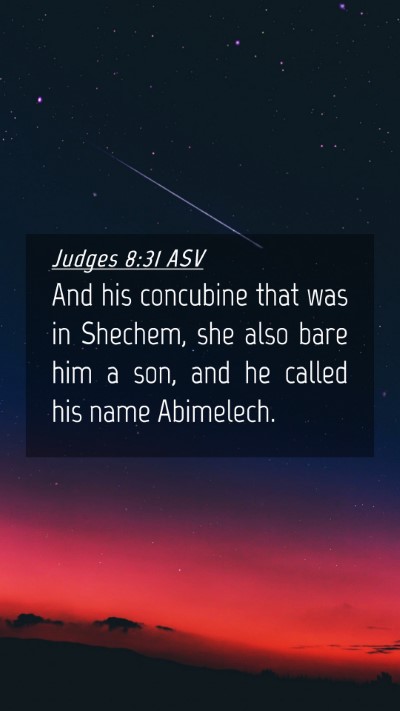 Picture 04 - Judges 8:31 ASV Mobile Phone Wallpaper - And his concubine that was in Shechem, she also - Mobile Bible Verse Wallpaper