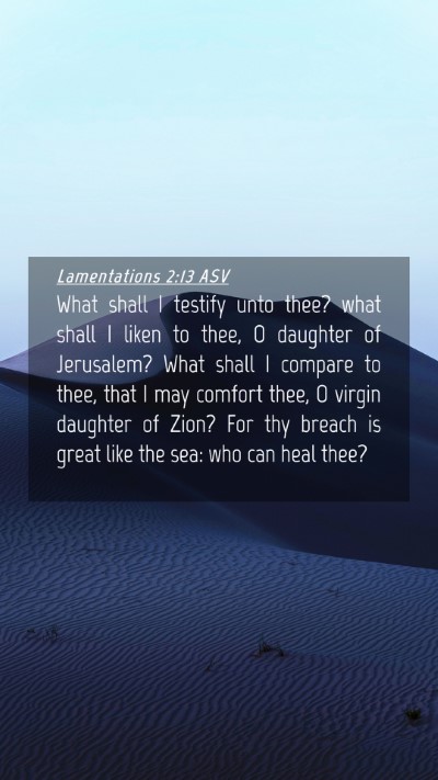 Picture 04 - Lamentations 2:13 ASV Mobile Phone Wallpaper - What shall I testify unto thee? what shall I - Mobile Bible Verse Wallpaper