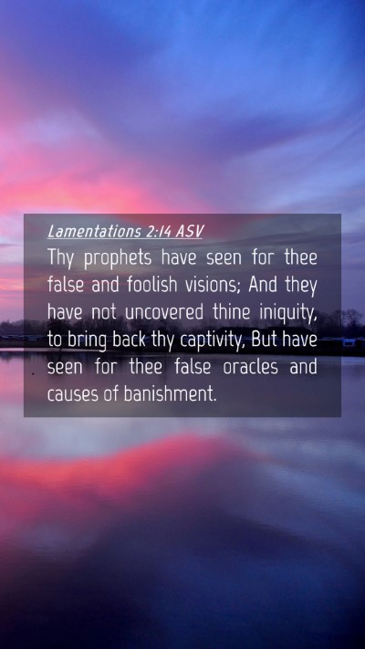 Picture 04 - Lamentations 2:14 ASV Mobile Phone Wallpaper - Thy prophets have seen for thee false and foolish - Mobile Bible Verse Wallpaper