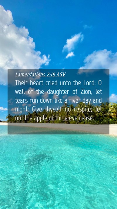 Picture 04 - Lamentations 2:18 ASV Mobile Phone Wallpaper - Their heart cried unto the Lord: O wall of the - Mobile Bible Verse Wallpaper