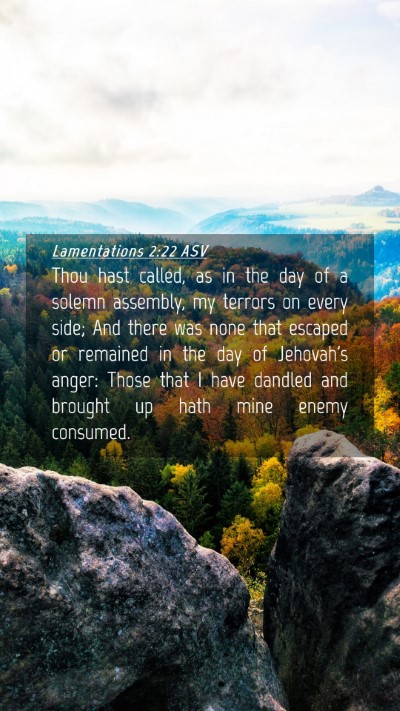 Picture 04 - Lamentations 2:22 ASV Mobile Phone Wallpaper - Thou hast called, as in the day of a solemn - Mobile Bible Verse Wallpaper