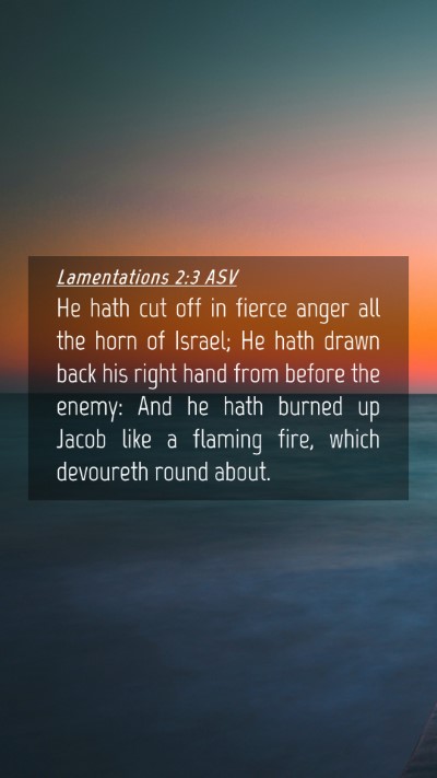 Picture 04 - Lamentations 2:3 ASV Mobile Phone Wallpaper - He hath cut off in fierce anger all the horn of - Mobile Bible Verse Wallpaper