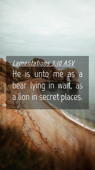Picture 04 - Lamentations 3:10 ASV Mobile Phone Wallpaper - He is unto me as a bear lying in wait, as a lion - Mobile Bible Verse Wallpaper