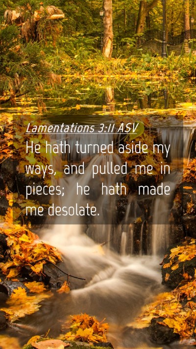 Picture 04 - Lamentations 3:11 ASV Mobile Phone Wallpaper - He hath turned aside my ways, and pulled me in - Mobile Bible Verse Wallpaper