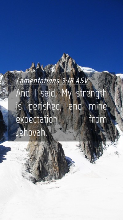 Picture 04 - Lamentations 3:18 ASV Mobile Phone Wallpaper - And I said, My strength is perished, and mine - Mobile Bible Verse Wallpaper