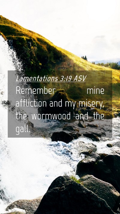Picture 04 - Lamentations 3:19 ASV Mobile Phone Wallpaper - Remember mine affliction and my misery, the - Mobile Bible Verse Wallpaper