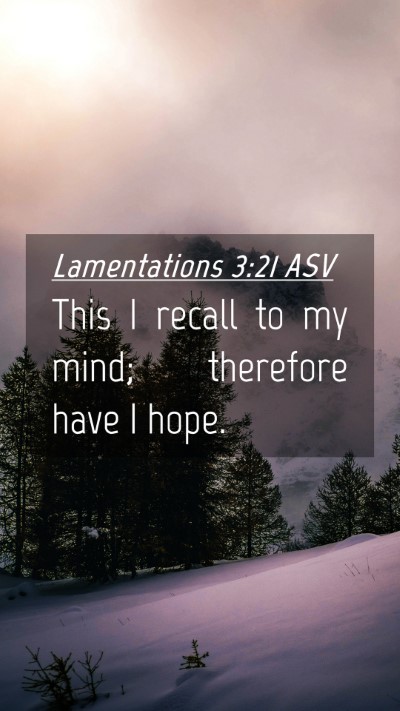 Picture 04 - Lamentations 3:21 ASV Mobile Phone Wallpaper - This I recall to my mind; therefore have I - Mobile Bible Verse Wallpaper
