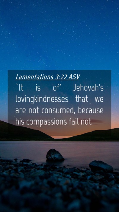 Picture 04 - Lamentations 3:22 ASV Mobile Phone Wallpaper - `It is of' Jehovah's lovingkindnesses that we are - Mobile Bible Verse Wallpaper