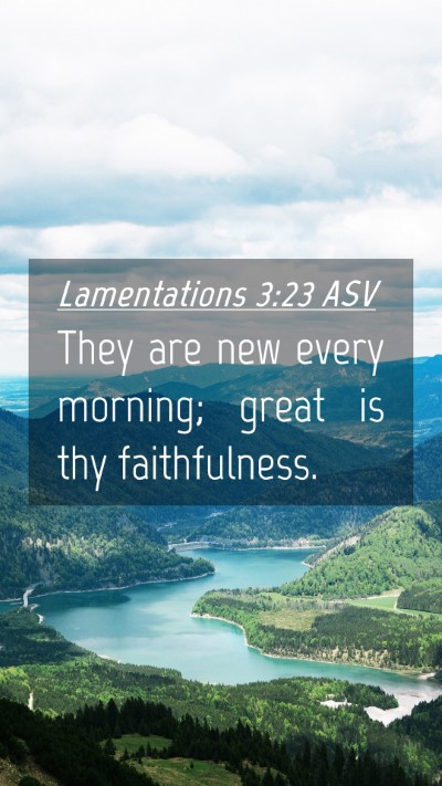 Picture 04 - Lamentations 3:23 ASV Mobile Phone Wallpaper - They are new every morning; great is thy - Mobile Bible Verse Wallpaper